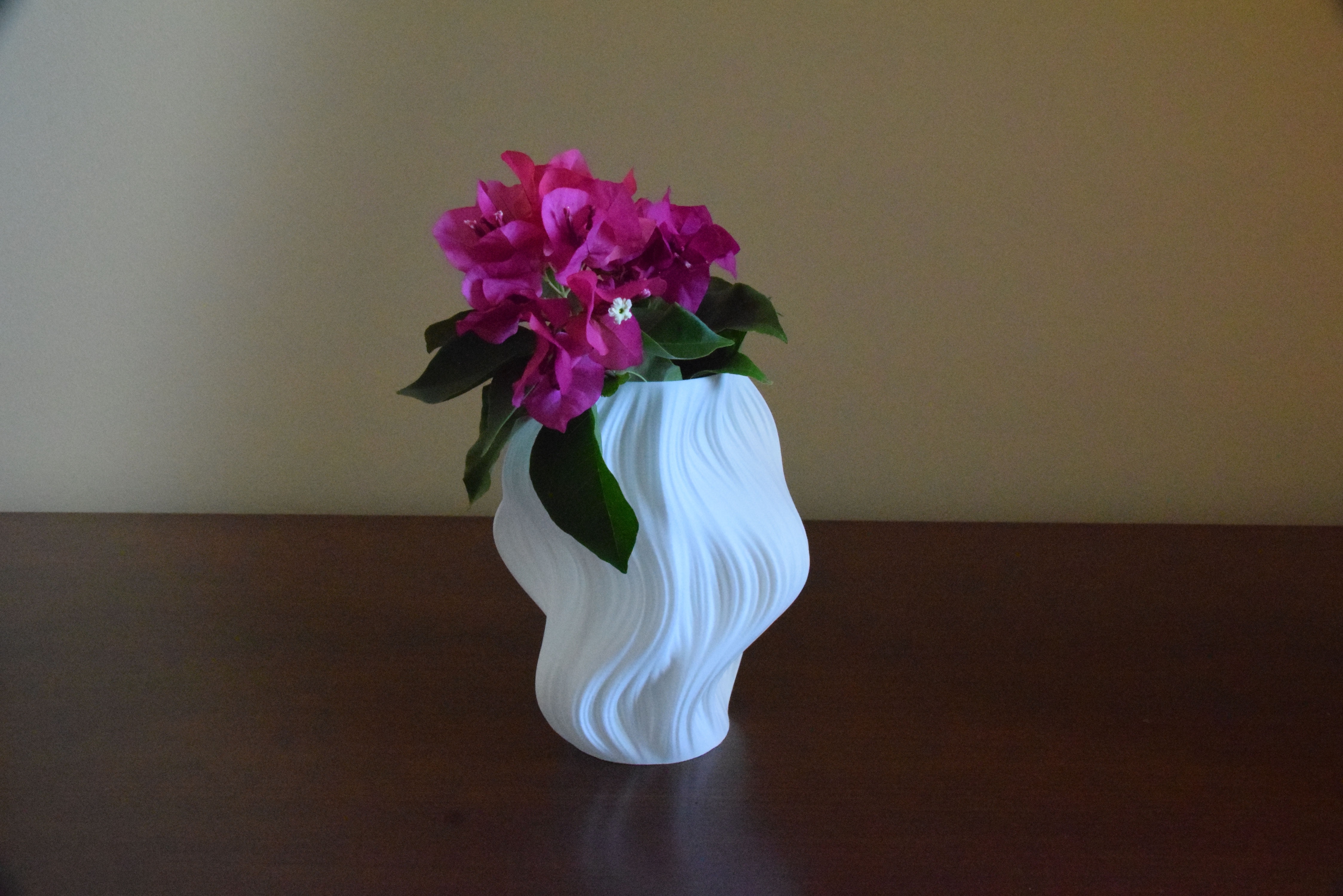 Cover picture for Zephyr’s Kiss (Fractal vase - Julia set)